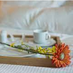 Transient Occupancy Tax